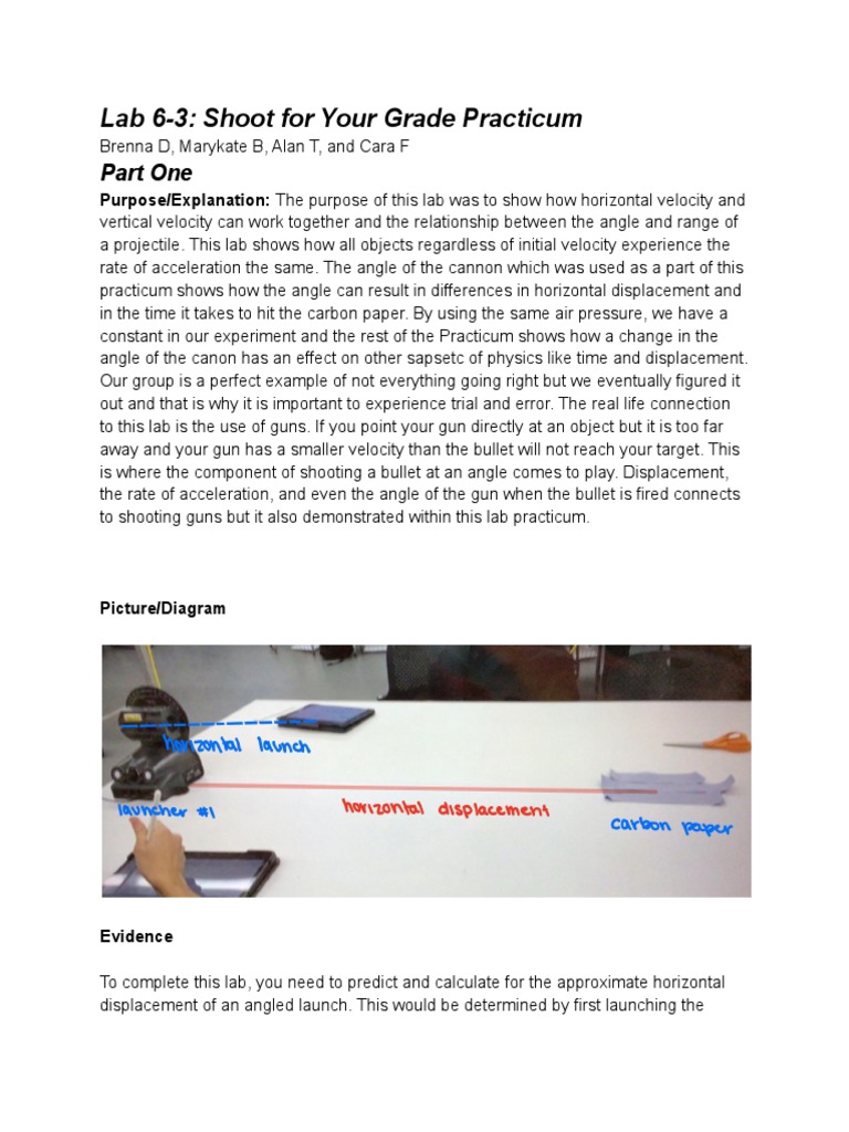 Lab Practicum 63 PDF Velocity Kinematics