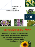 1.1. Introducción a la Botánica