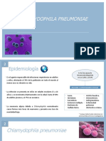 Chlamydia Pneumoniae