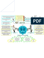 Neuropsicologia Mapa Mental