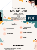 Transaminasas - TGO, TGP y GGT
