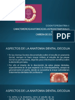 Odontop 2 Tema1 Caracteristicas Anatomicas