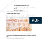 CUESTIONARIO 4 y 5 CICLO SEXUAL 