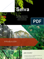 Selva pulmones