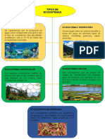 Mapa Conceptual Sobre Los Tipos de Ecosistemas