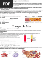 Transport Systems and Mechanism SS2 (Autosaved)