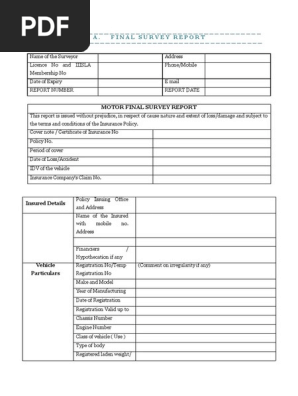 Final survey report format