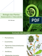 Biologia Das Plantas Avasc e Vasculares