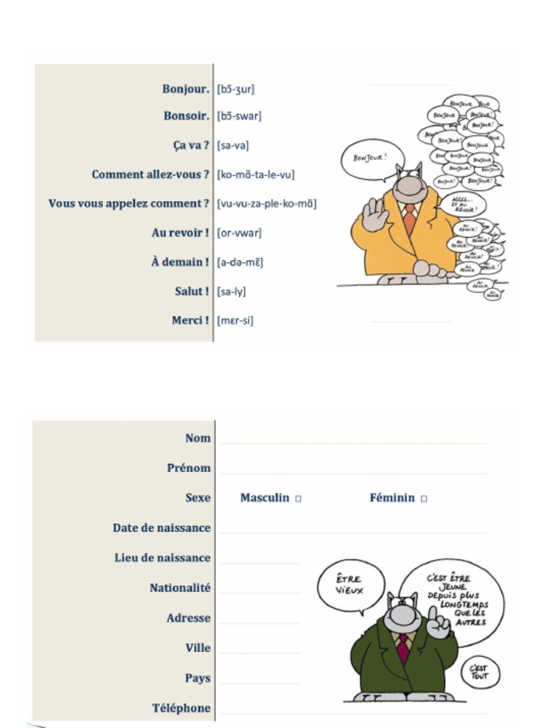 Mots et phrases essentiels en anglais | PDF