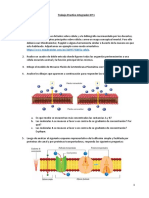 Trabajo Practico Integrador #1