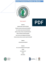 Tarea 2, Parcial 3 - Auto