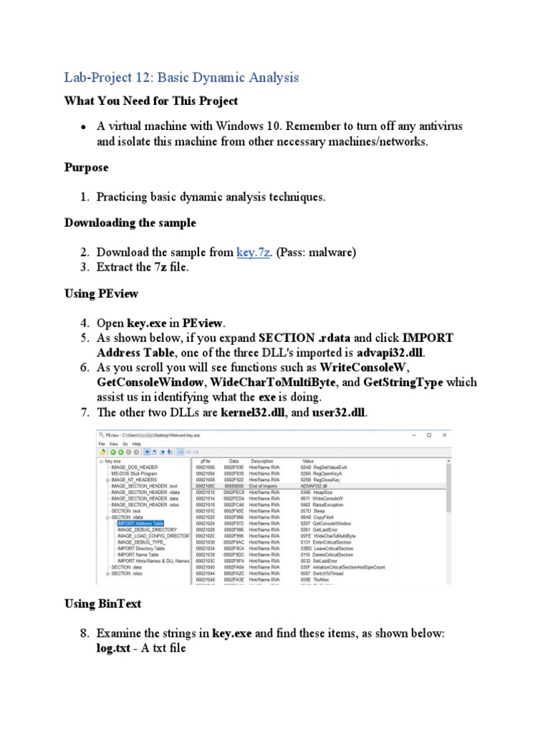 Lab Proj 12 Basic Dynamic Analysis PDF Windows Registry