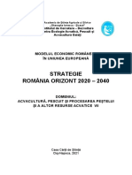 Strategia Romania Orizont 2020 - 2040