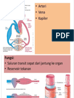 Faktor yang Mempengaruhi Tekanan Darah dan Aliran Darah <40