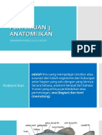 Anatomi - Ikan