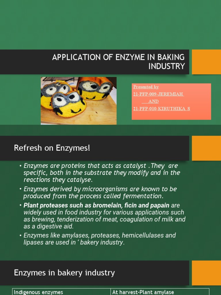 Enzymes in Baking Industry PDF Breads Gluten