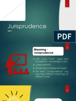 Meaning - Jurisprudence Unit 1