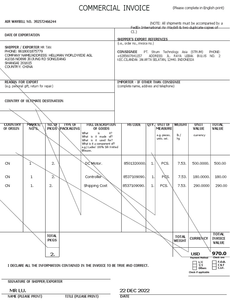 Commercial Invoice2 | PDF
