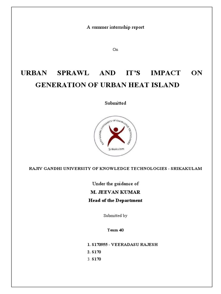 SUMMER INTERNSHIP REPORT SAMPLE PDF visual data 4