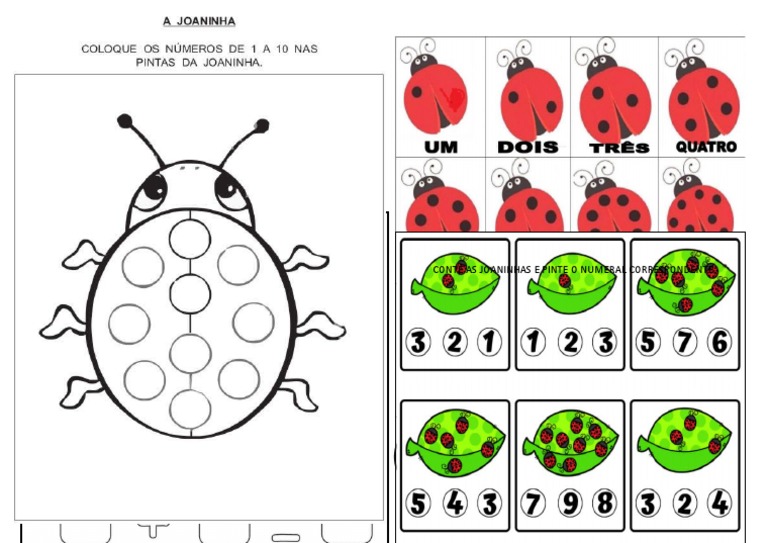 Atividadea Joaninha | PDF