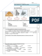 Test Sumativ Orientul Antic