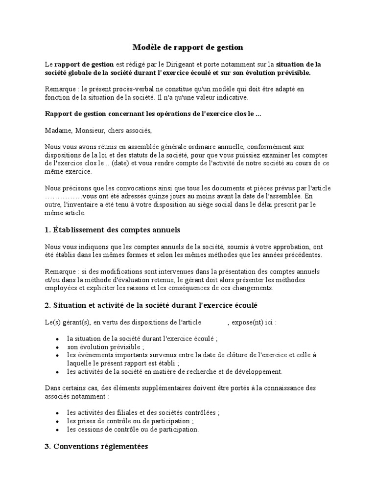 Modèle de rapport de gestion annuel | PDF | Finance et gestion ...