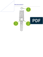 Syngenta France - Vulpin Des Champs - 2020-11-02