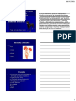 Slides Patologia Do Sistema Renal