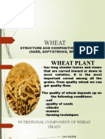 Wheat-Structure and Composition Group 5