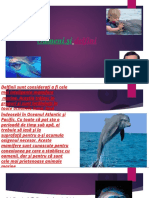 Omul - Şi Delfinu