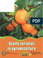 Scelte Varietali in Agrumicoltura (1)