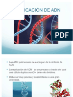 Genetica Replicacion de ADN