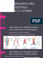 Embriologia Del Sistema Circulatorio