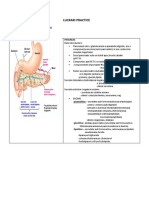 LP Secretia Pancreatica