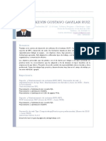 CV Kevin Gavila - Prog