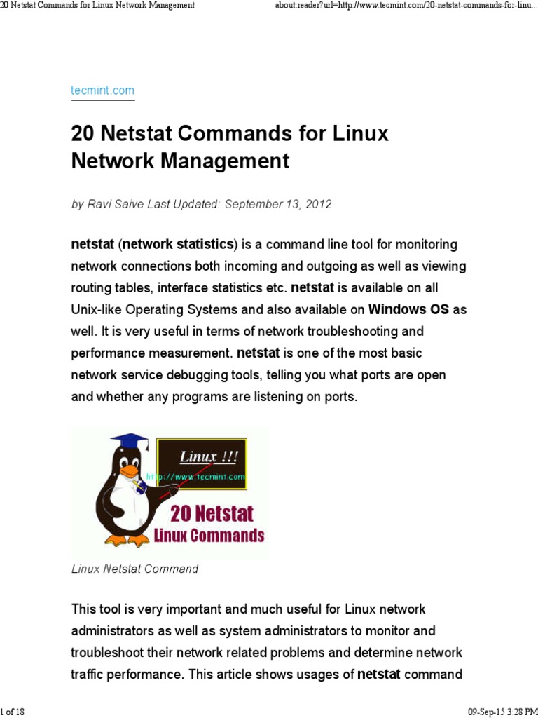 20 Essential Netstat Commands for Linux | PDF