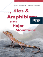 Reptiles & Amphibians of The Hajar Mountains