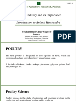 Poultry Industry & Its Importance