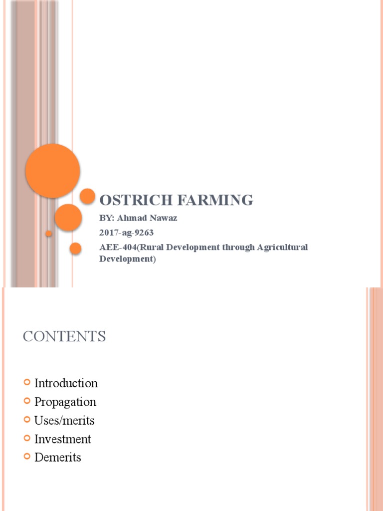 Ostrich Farming | PDF