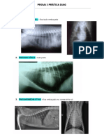 Principais achados radiográficos em prova prática de diagnóstico por imagem