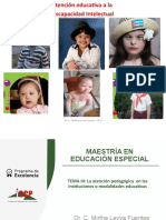 Atención Educativa Discapacidad Intelectual