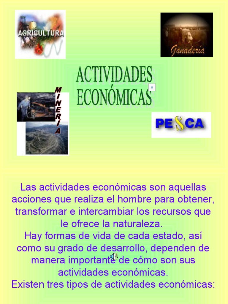 Tipos de Actividades Económicas | PDF | Agricultura | Transporte
