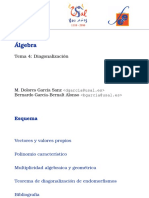 Tema 4 Diagonalización (2022-2023 USAL)