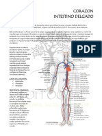 MANUAL Plantas Medicinales FUEGO