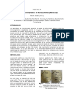 Informe 1