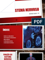 Sistema Nervoso