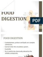 Food Digestion