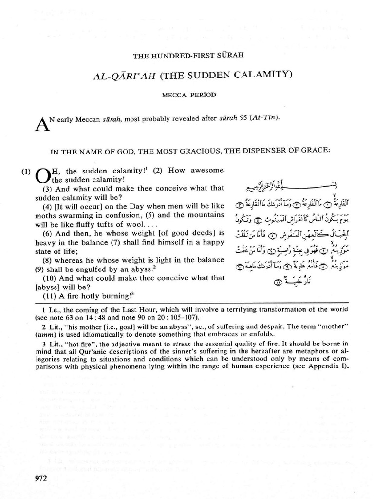 The Sudden Calamity PDF