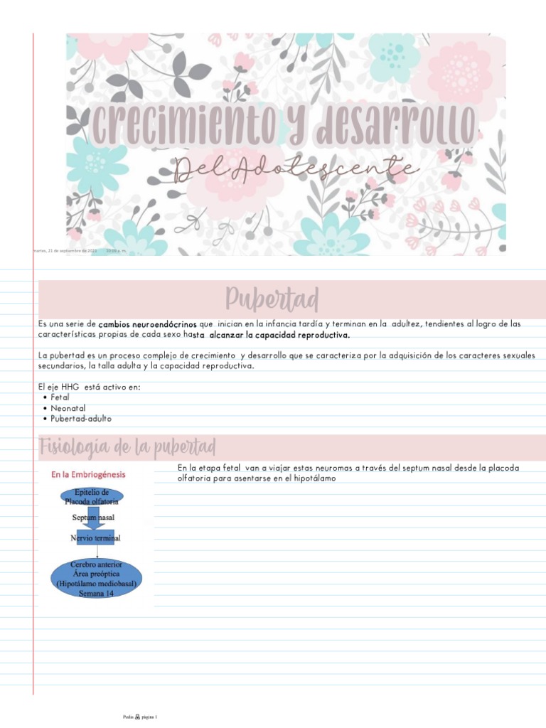 Adolescencia Crecimiento y Desarrollo | PDF | Pubertad | Hormona ...
