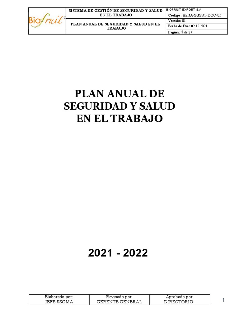 Plan Anual de Seguridad y Salud 2021-2022 | PDF | Seguridad y salud ...